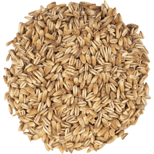 Gladfield Golden Naked Oats | The Brew House - your local 
